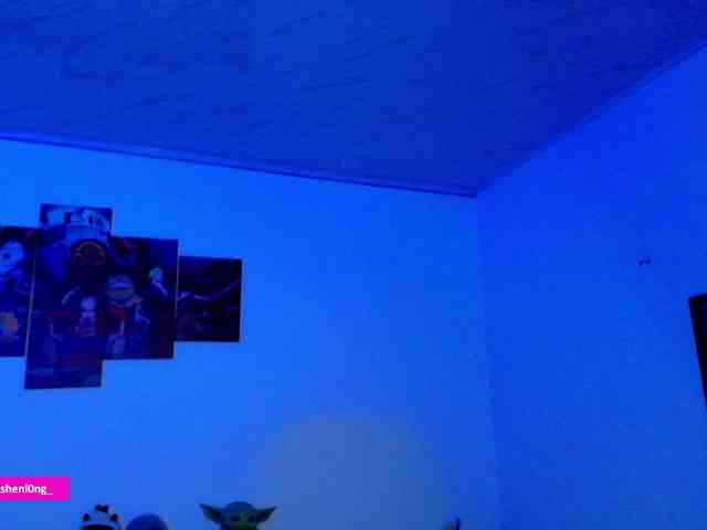 Nicorobin webcam
