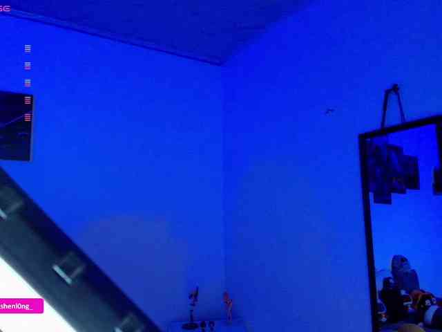 Nicorobin webcam