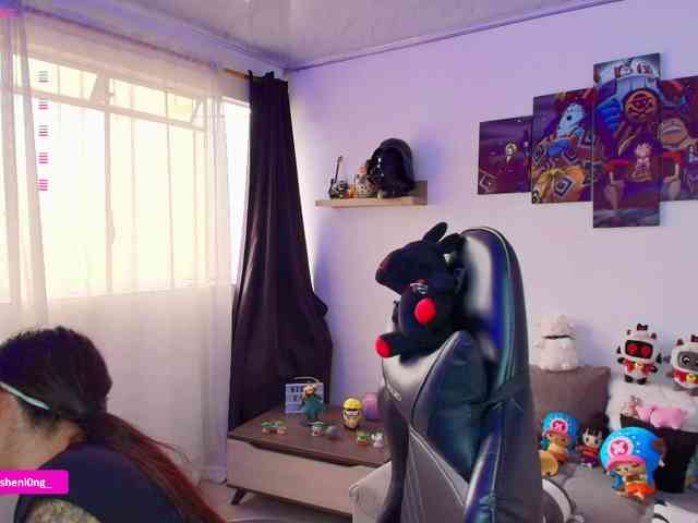 Nicorobin webcam