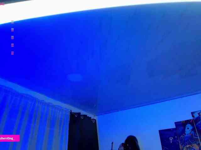 Nicorobin webcam