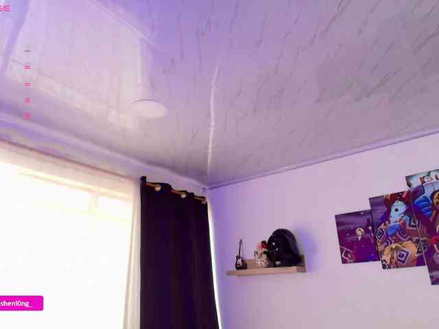 Nicorobin webcam