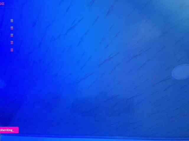 Nicorobin webcam