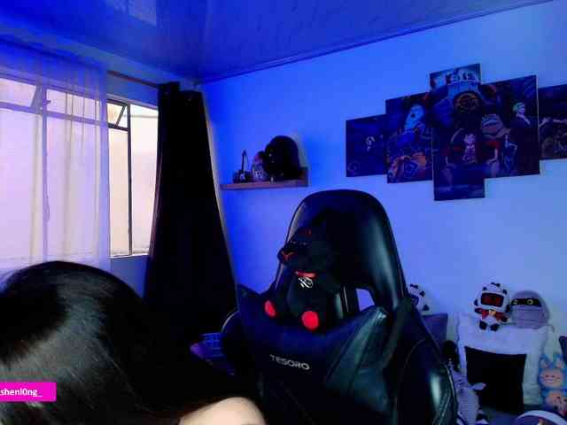 Nicorobin webcam