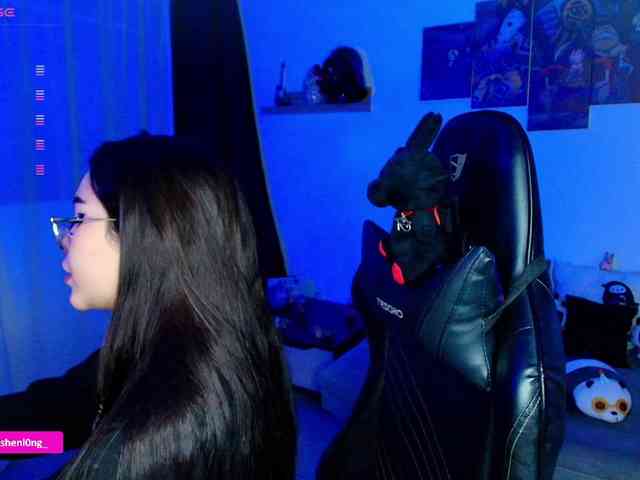 Nicorobin webcam