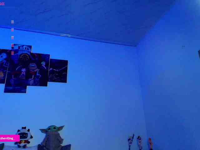 Nicorobin webcam
