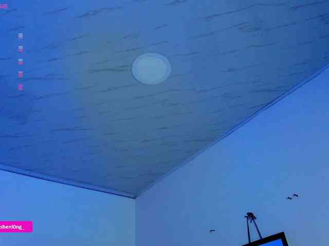 Nicorobin webcam
