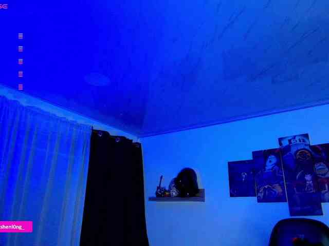 Nicorobin webcam