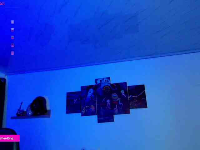 Nicorobin webcam