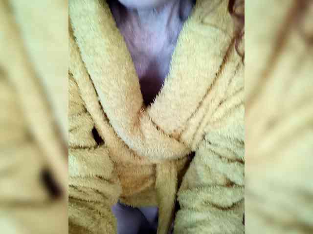 Madam-oss webcam