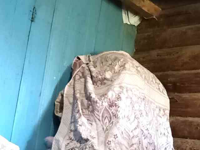 Madam-oss webcam