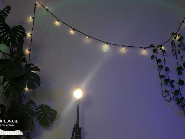 SOVA_tut live webcam show