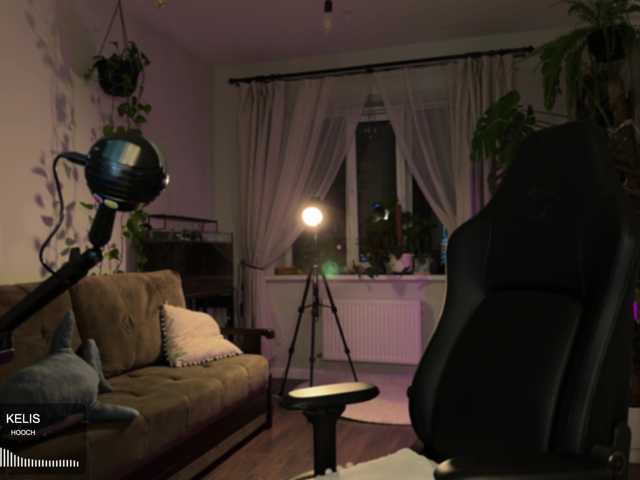 SOVA_tut