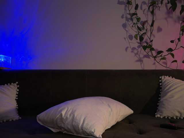 Live трансляция SOVA_tut - slutnetki.online