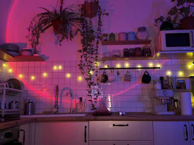 SOVA_tut