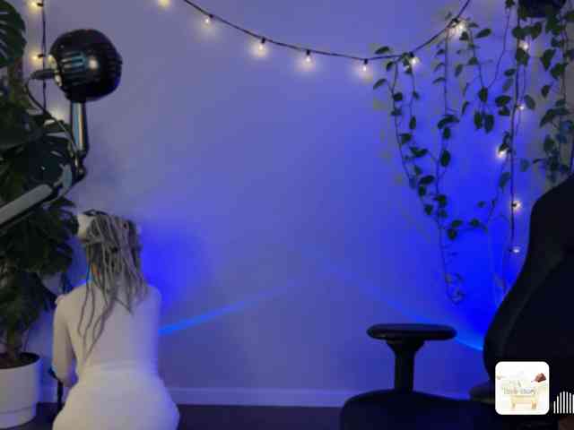 SOVA_tut webcam