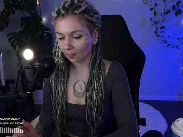 SOVA_tut webcam