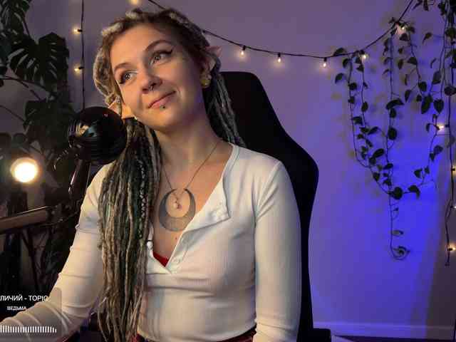 SOVA_tut webcam