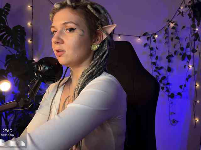 SOVA_tut webcam