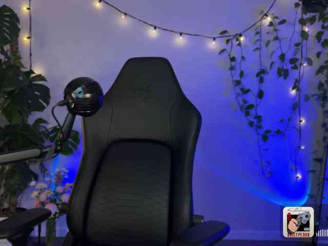 SOVA_tut webcam