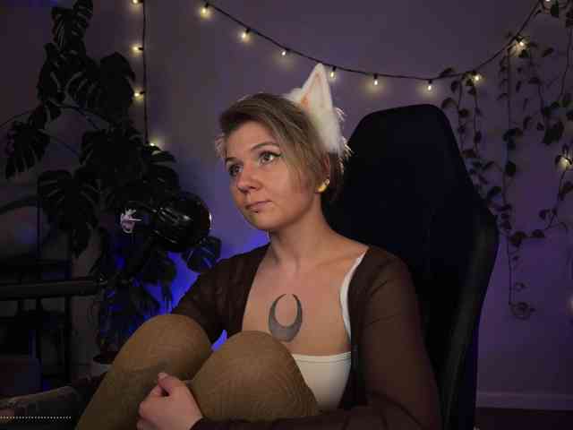 SOVA_tut webcam