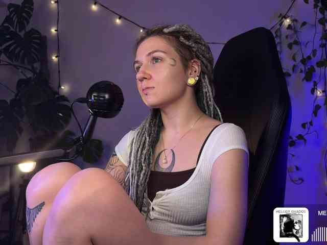 SOVA_tut webcam