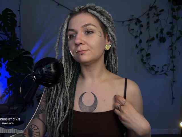 SOVA_tut webcam