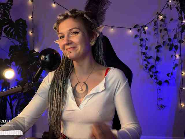 SOVA_tut webcam
