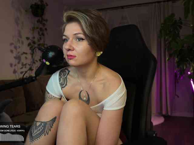 SOVA_tut webcam