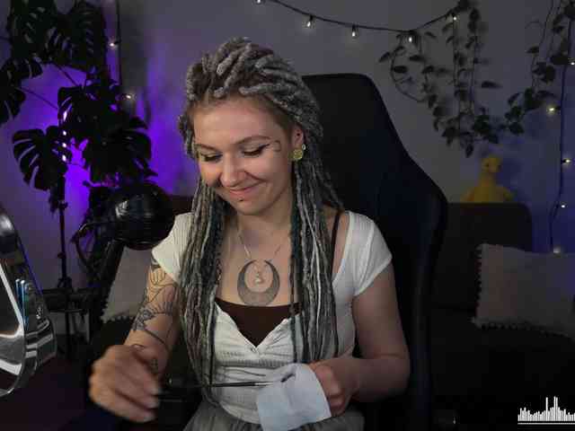 SOVA_tut webcam