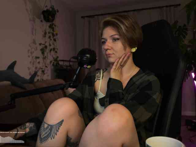 SOVA_tut webcam