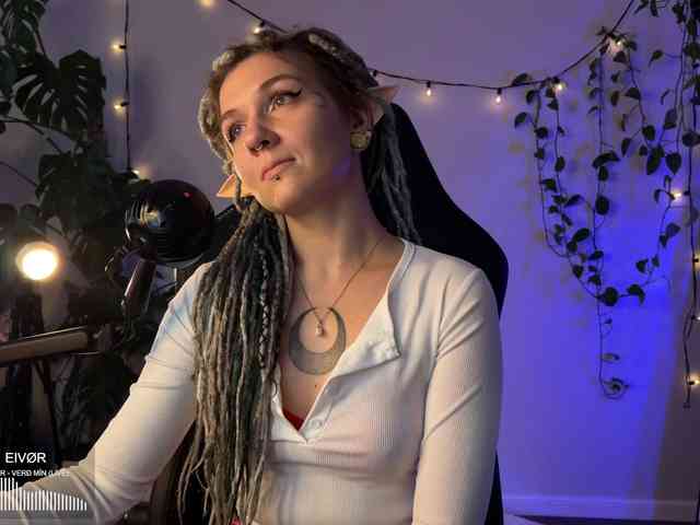 SOVA_tut webcam