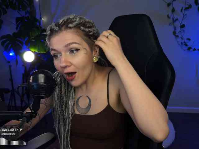 SOVA_tut webcam
