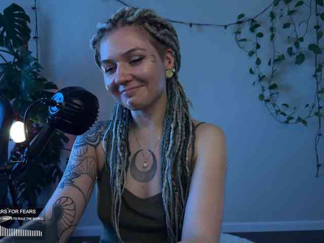 SOVA_tut webcam