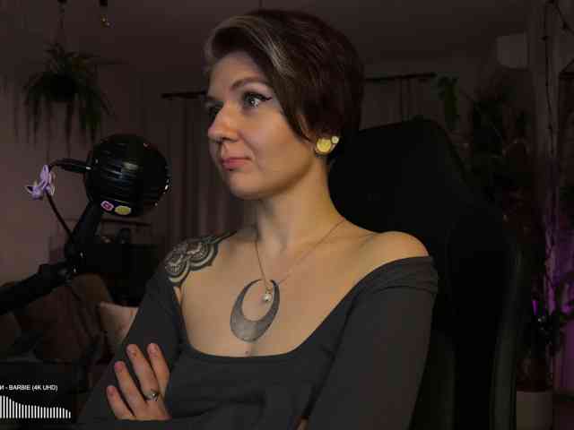 SOVA_tut webcam
