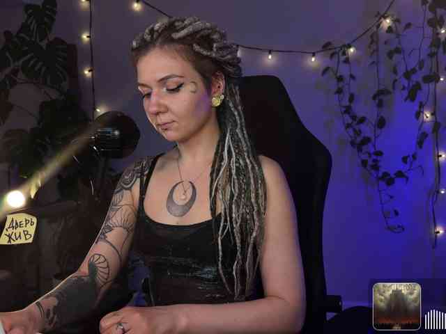 SOVA_tut webcam