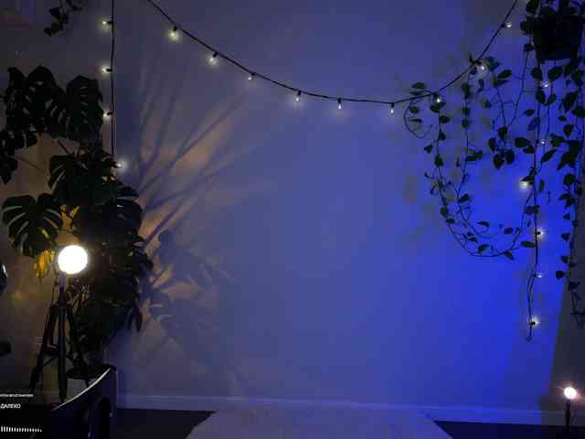 SOVA_tut webcam