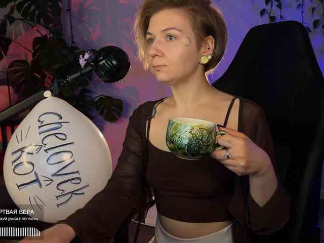 SOVA_tut webcam