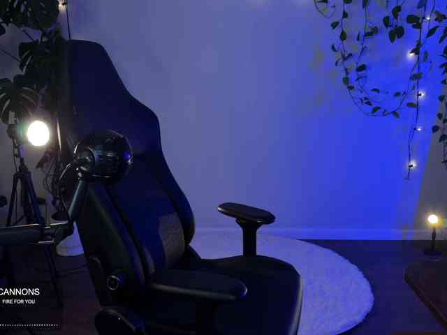 SOVA_tut webcam