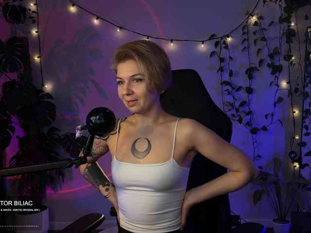 SOVA_tut webcam