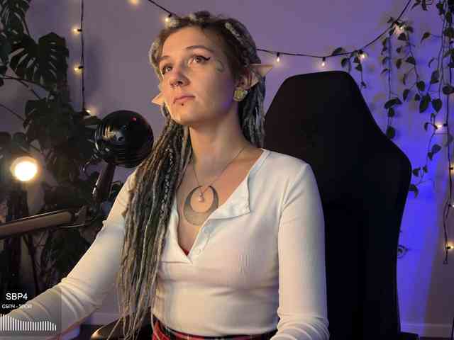 SOVA_tut webcam