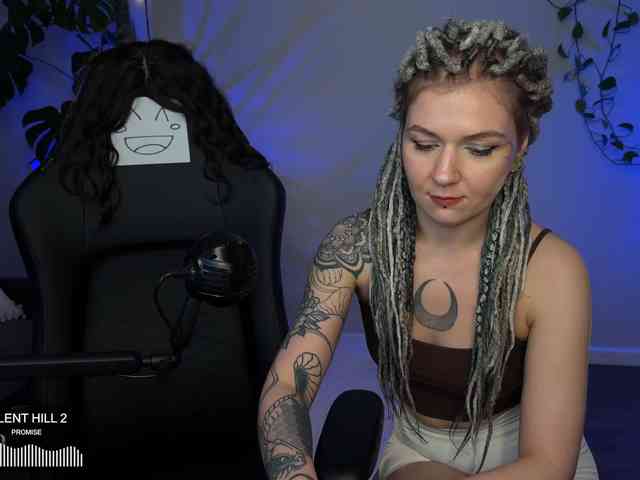 SOVA_tut webcam
