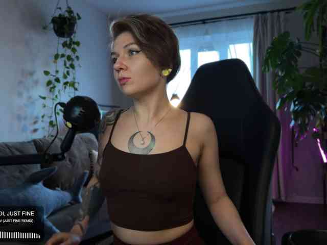 SOVA_tut webcam