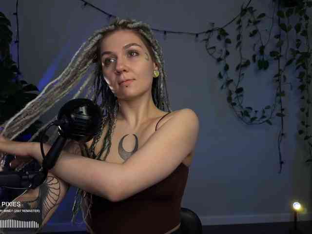 SOVA_tut webcam
