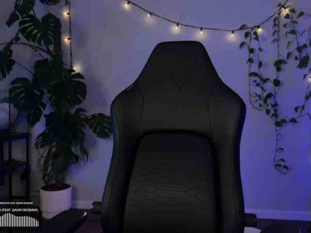 SOVA_tut webcam