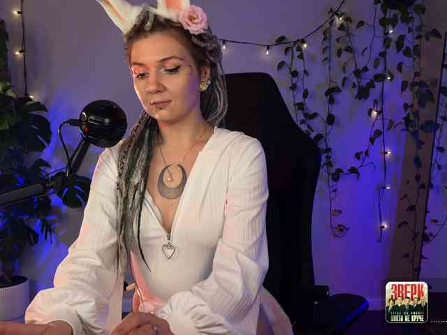 SOVA_tut webcam