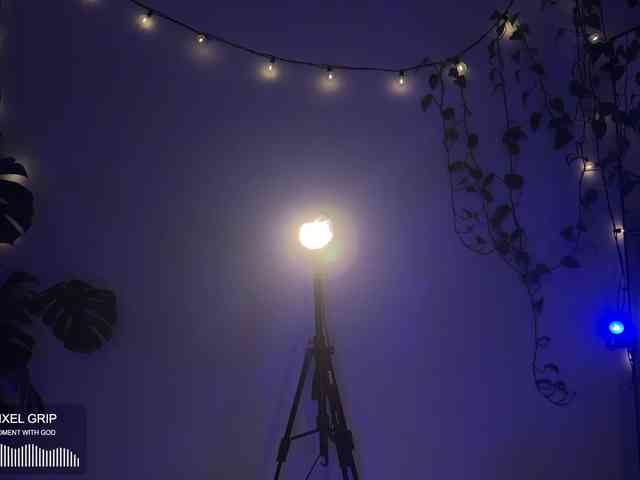 SOVA_tut webcam