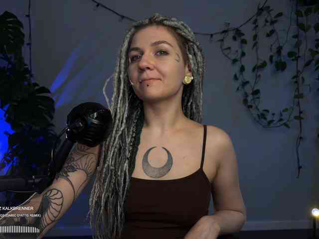 SOVA_tut webcam