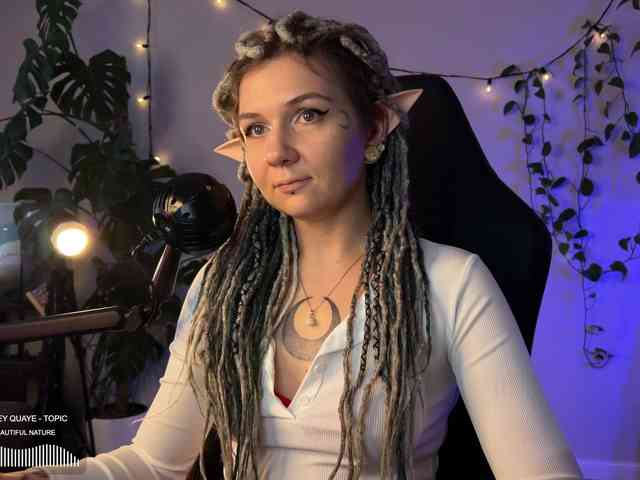 SOVA_tut webcam