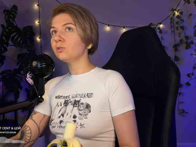 SOVA_tut webcam