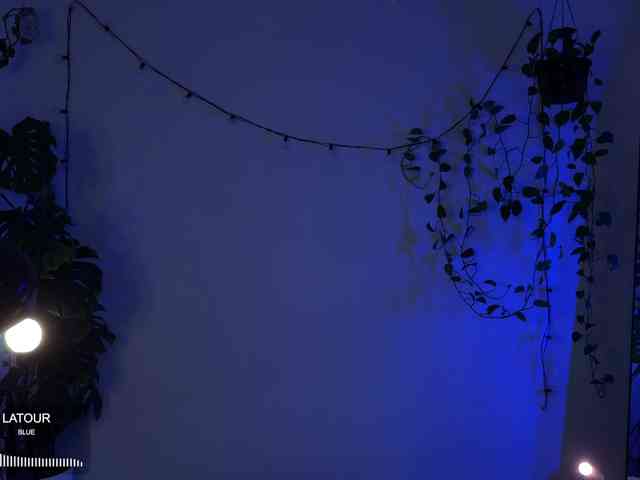 SOVA_tut webcam